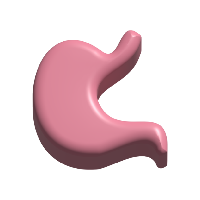 Bienestar digestivo